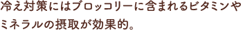 冷え対策にはブロッコリーに含まれるビタミンや
						ミネラルの摂取が効果的。